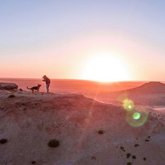 couche de soleil dune chien